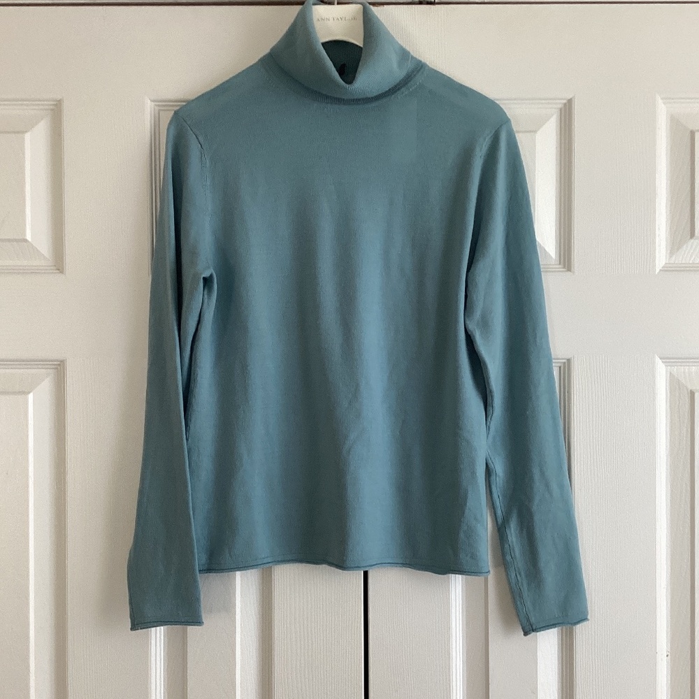 Brooks Brothers 100% Wool Turtleneck
